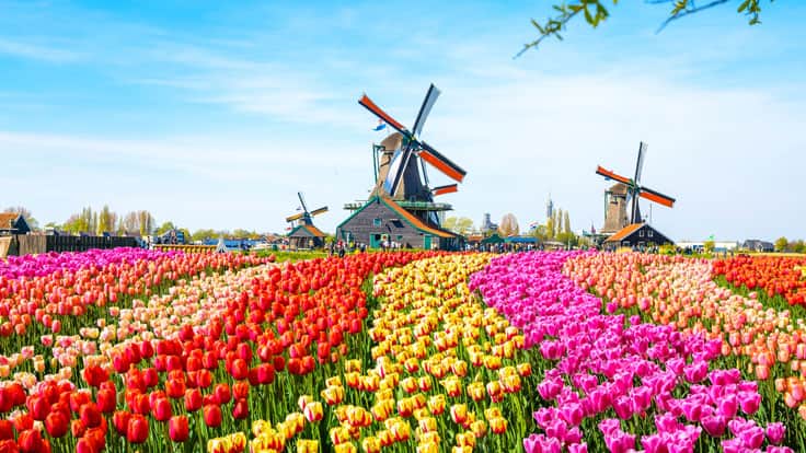 2027-2028 Collection of Voyages