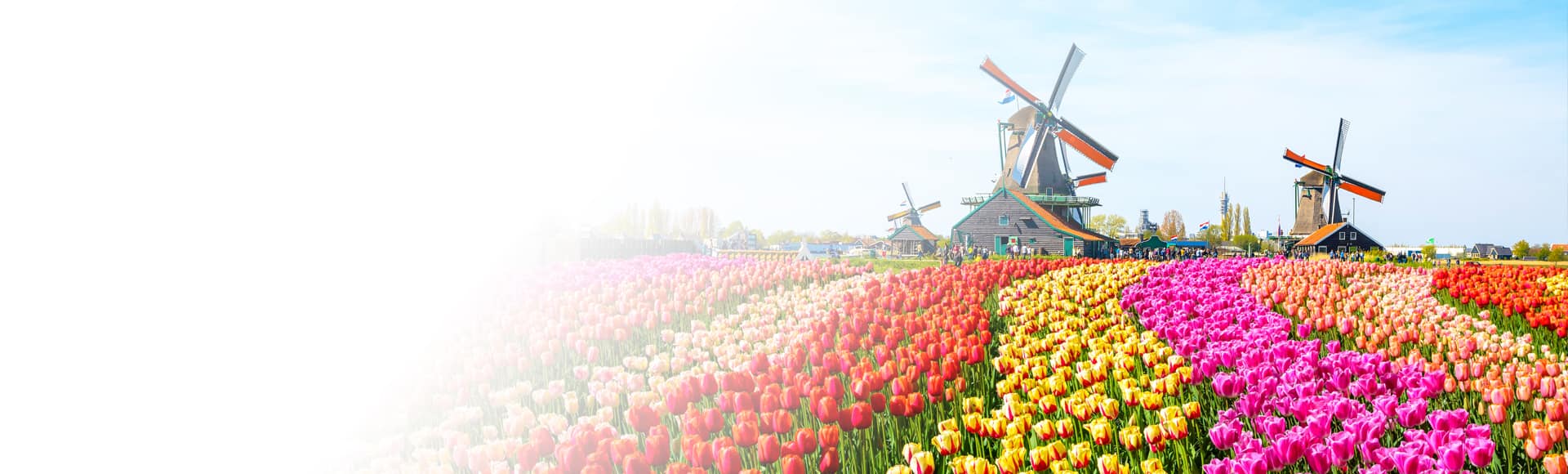 2027-2028 Collection of Voyages