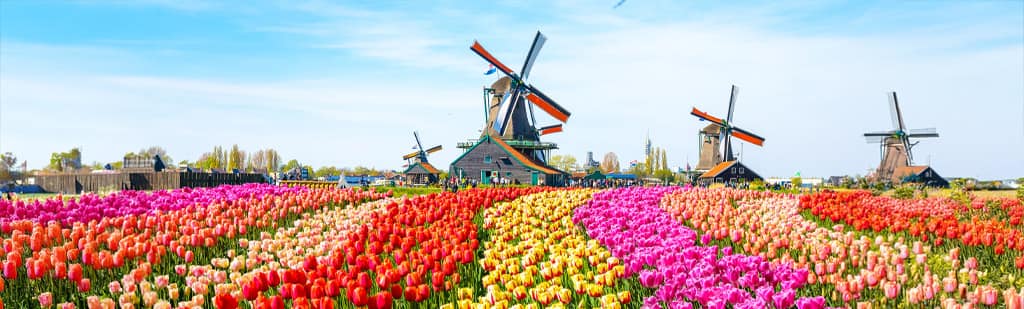 2027-2028 Collection of Voyages