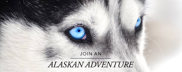 Join an Alaskan Adventure