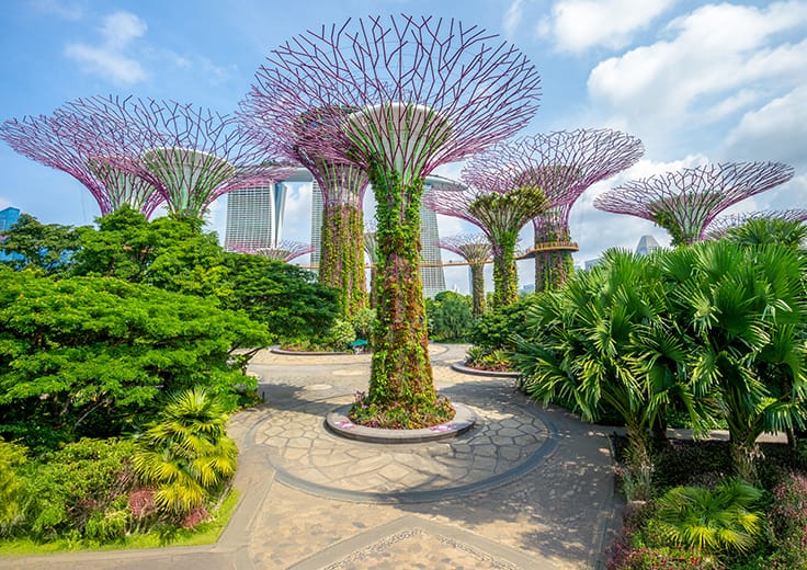 Stunning view of the Supertree Grove at Gardens by the Bay in Singapore, featuring towering tree-like structures enveloped in lush greenery, part of Oceania Cruises summer sale offer.