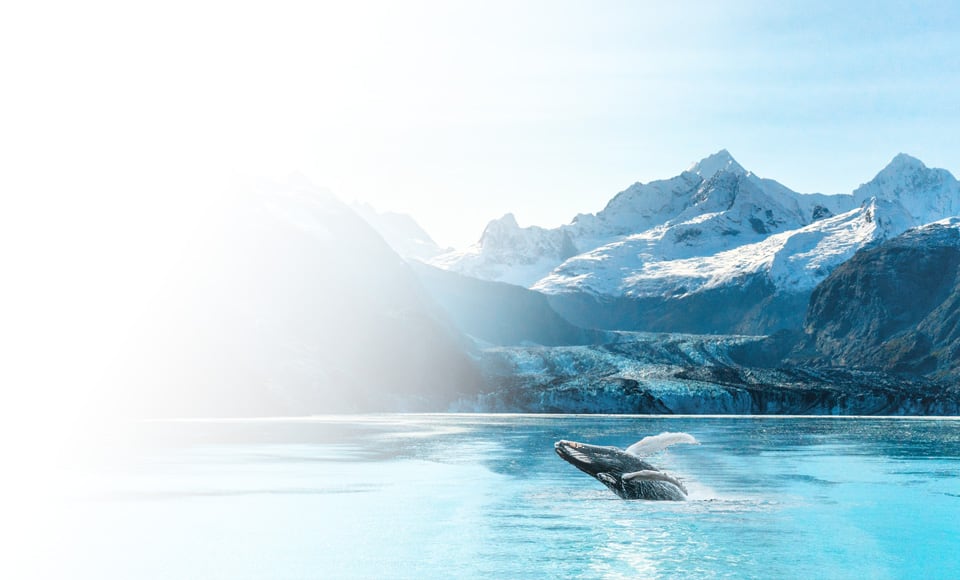 2026 Cruises to Alaska, Oceania Cruises Riviera