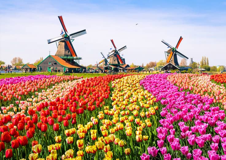 2027-2028 Voyage Collection