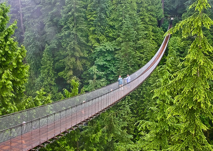 Suspension Bridge