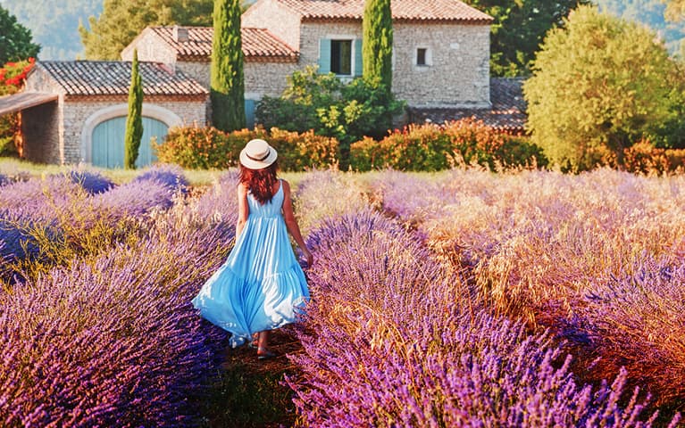 Mediterranean Provence, France